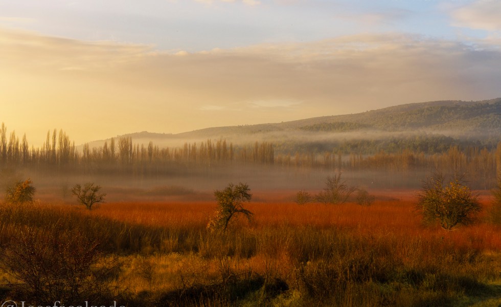 Amanecer en los campos de mimbre