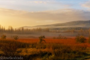 Amanecer en los campos de mimbre