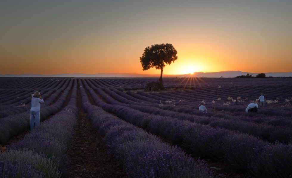 Captando el atardecer