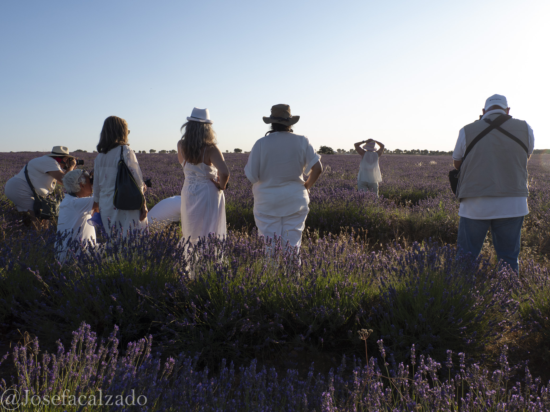 Dirigiendo el equipo